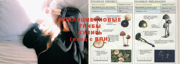 герыч Алзамай