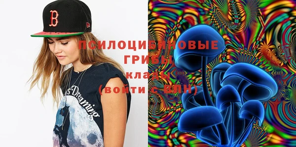 герыч Алзамай