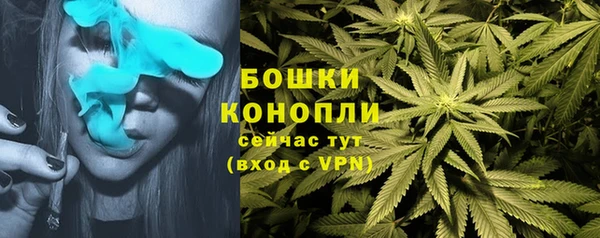 apvp Алексеевка