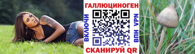 даркнет телеграм  Тула  Галлюциногенные грибы MAGIC MUSHROOMS 